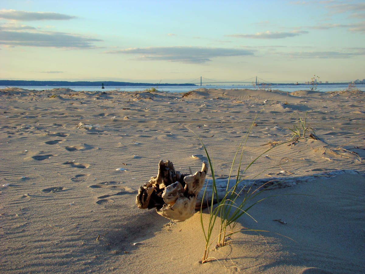 Verrazano Bridge from End of Sandy Hook II 