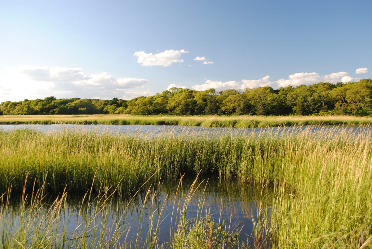 Horseshoe Cove - Summer, Image 1.