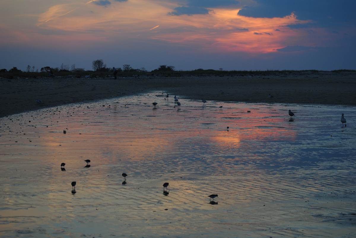 Dusk reflections Sandy Hook, Image 1.