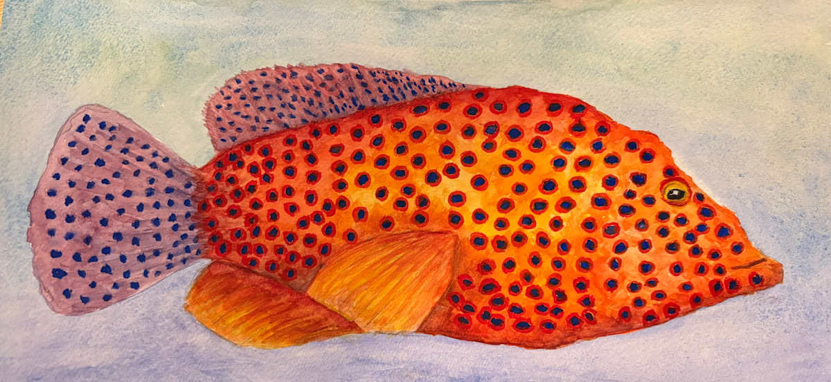 Grouper by Mary O'Malley-Joyce, Image 1.