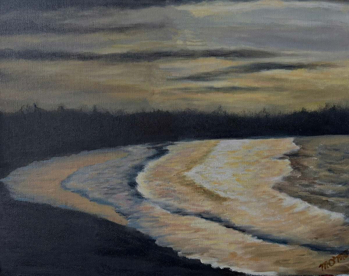 The last of the sunset light by Mary O'Malley-Joyce 