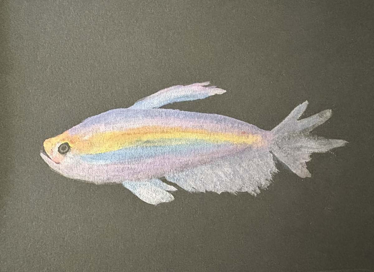 Tropical Fish 4 by Mary O'Malley-Joyce, Image 1.