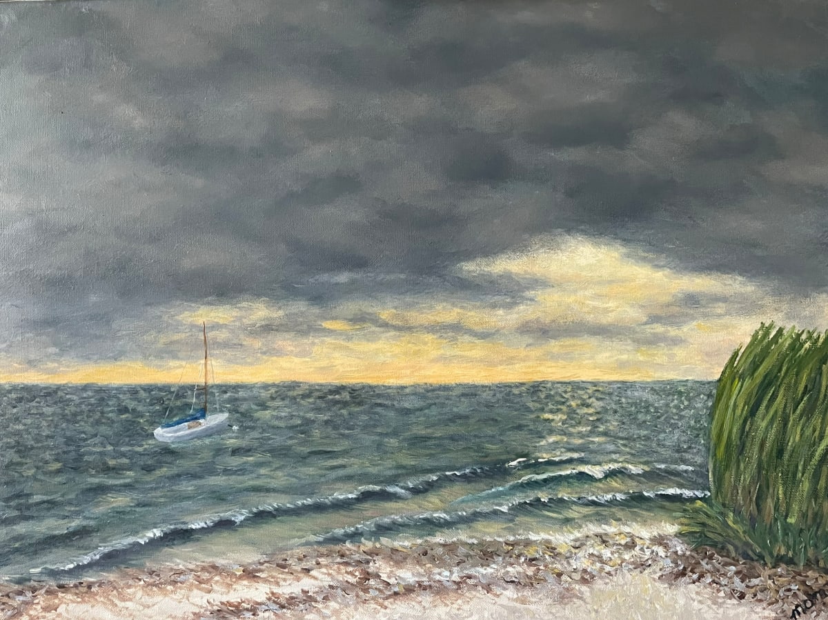 Storm's Coming by Mary O'Malley-Joyce 