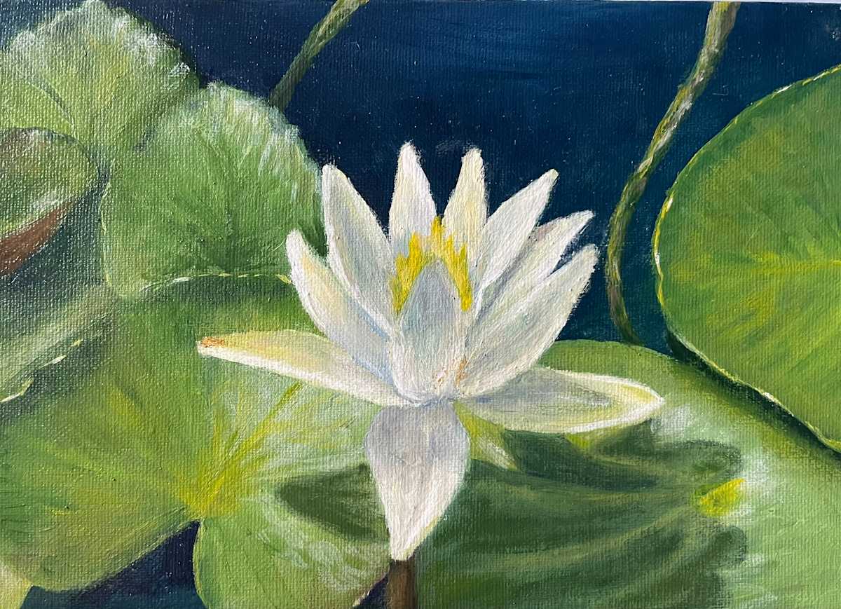 Water Lily by Mary O'Malley-Joyce, Image 1.