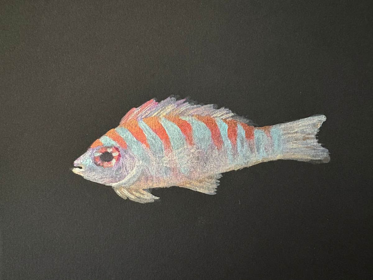 Tropical Fish by Mary O'Malley-Joyce 