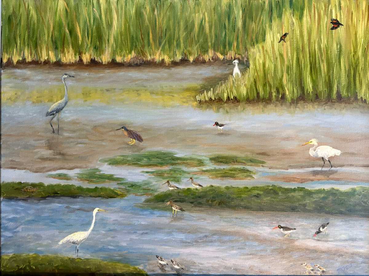 Marshes - Home to an abundance of wildlife by Mary O'Malley-Joyce 