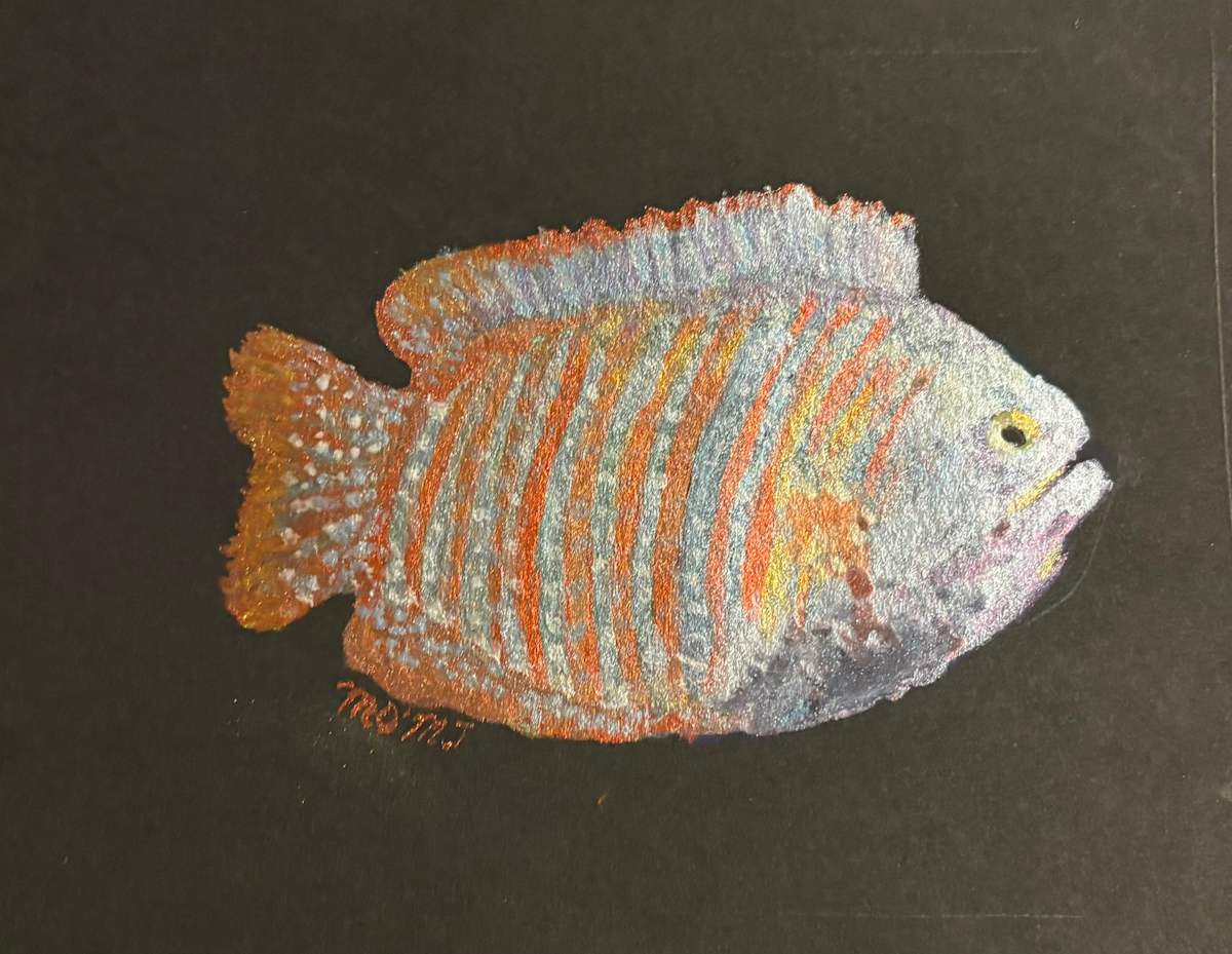Drawf Gourami by Mary O'Malley-Joyce 