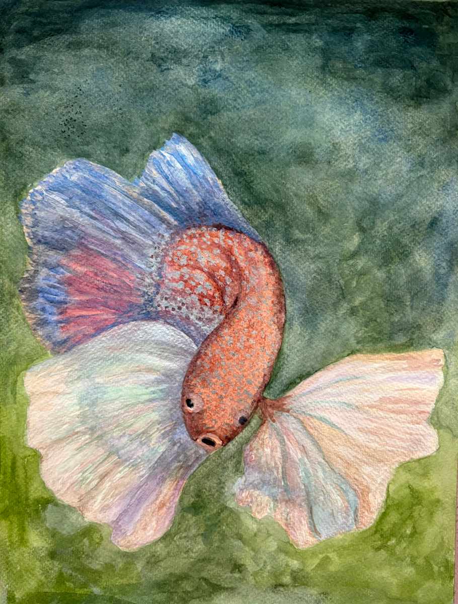 Siamese Fighting Fish by Mary O'Malley-Joyce 