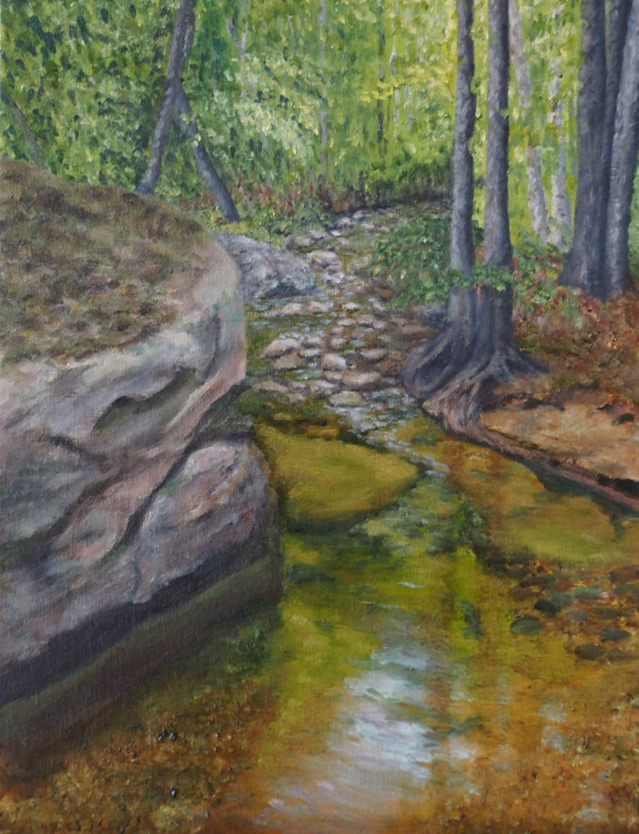 Lincoln Wood Trail by Mary O'Malley-Joyce 