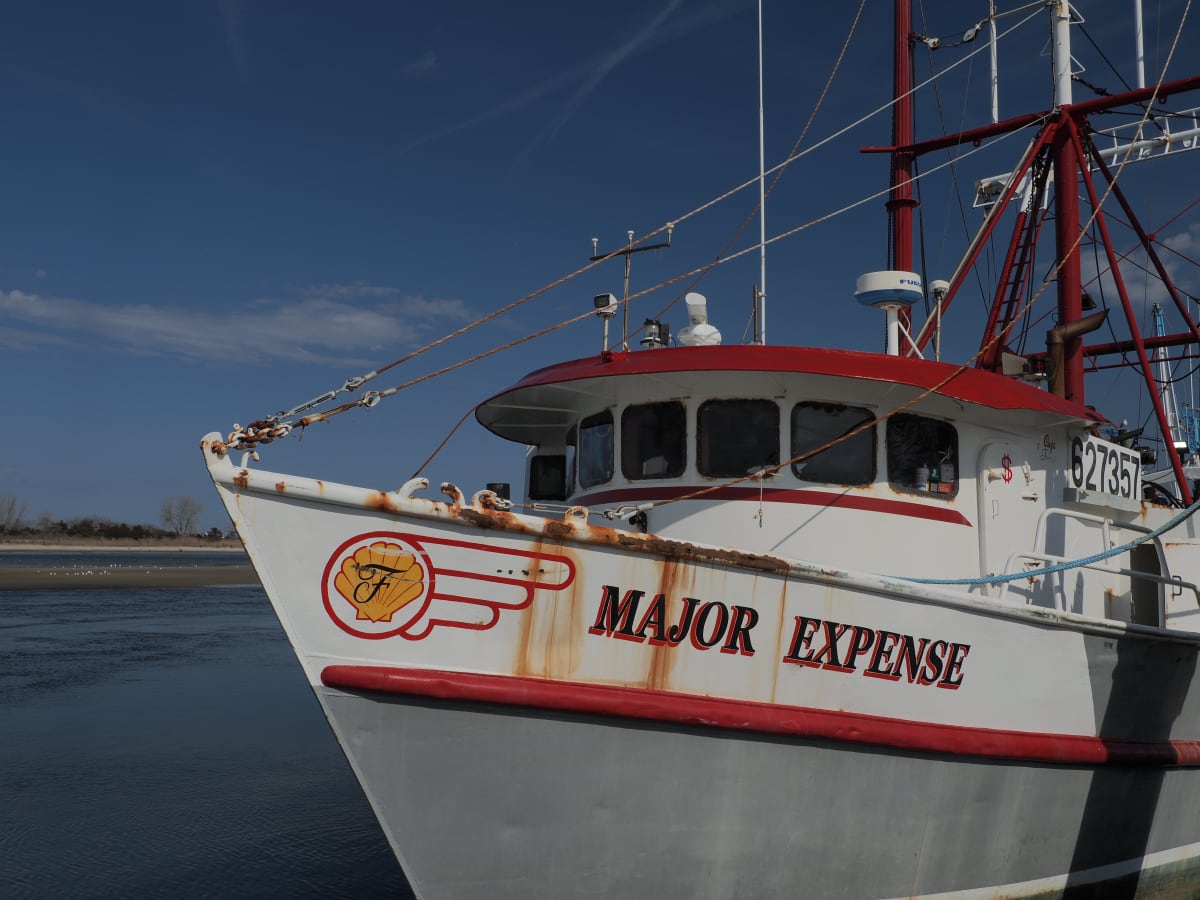 Major Expense by Mary O'Malley-Joyce 