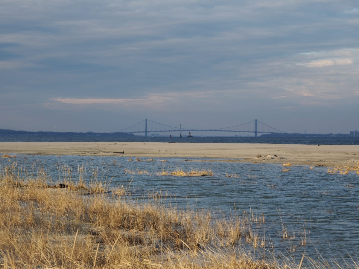Verrazano Bridge from End of Sandy Hook by Mary O'Malley-Joyce 