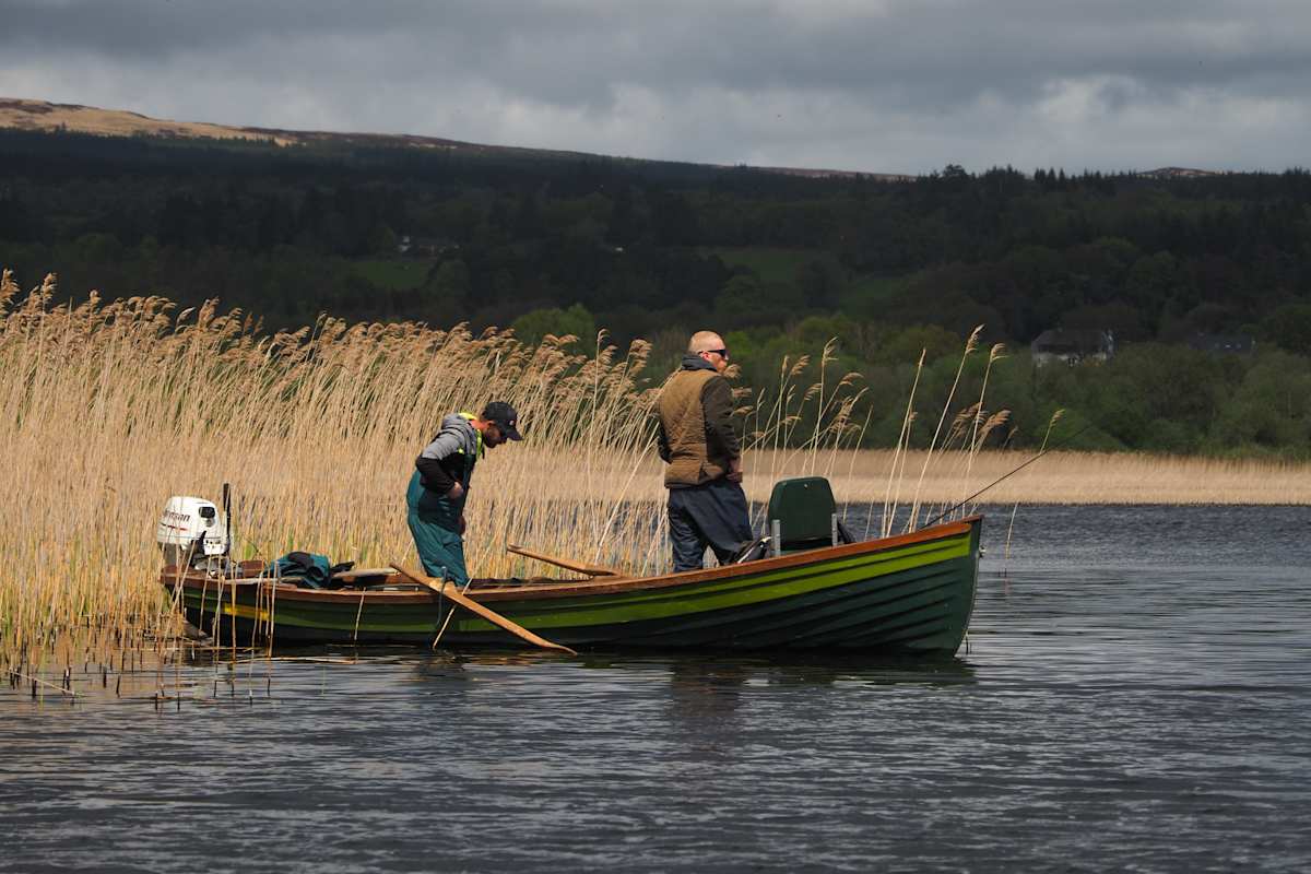 Looking for the fish by Mary O'Malley-Joyce, Image 1.
