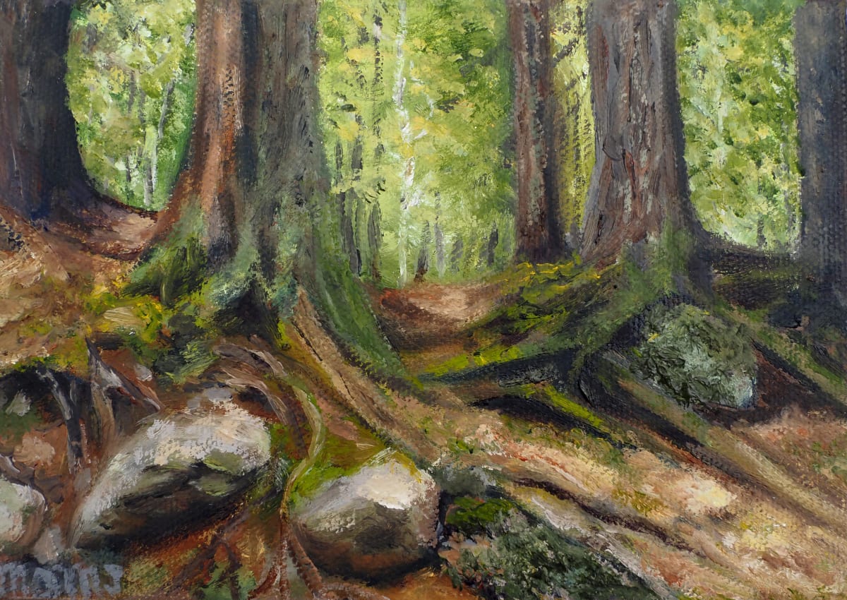Tree Series #7 - White Mountain Tree Roots by Mary O'Malley-Joyce 