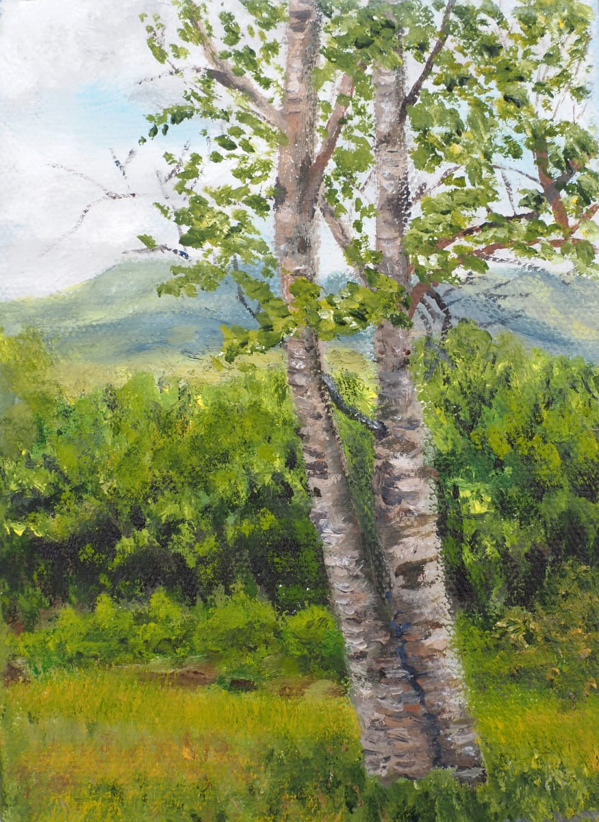 Tree Series #6 - White Mountain Birch by Mary O'Malley-Joyce 