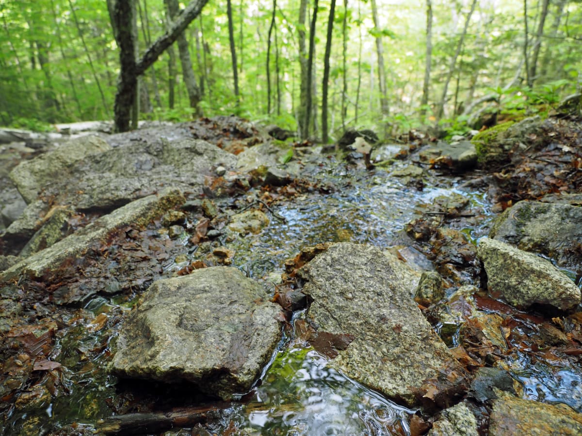 Spring Run Off  Image: White Mountains