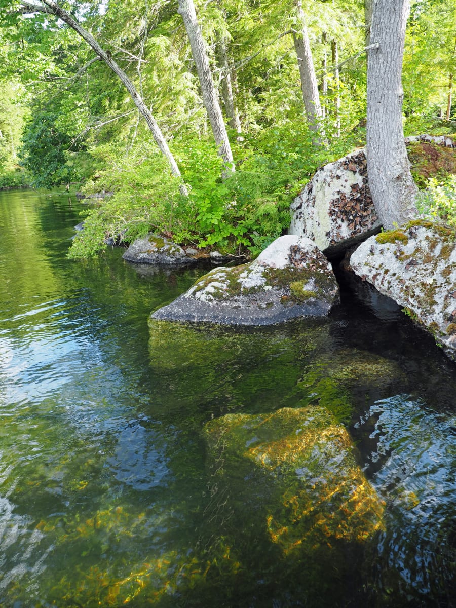 Lake rock reflections 