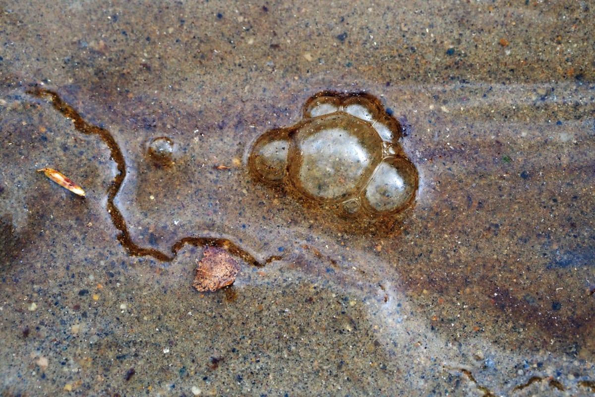 Floating Bubbles by Mary O'Malley-Joyce, Image 1.