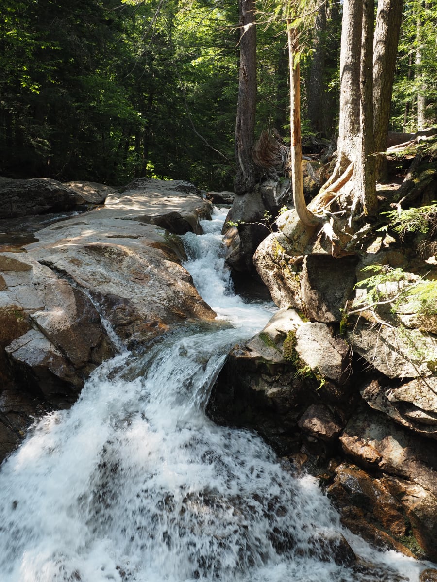 Basin Water Fall - Summer 