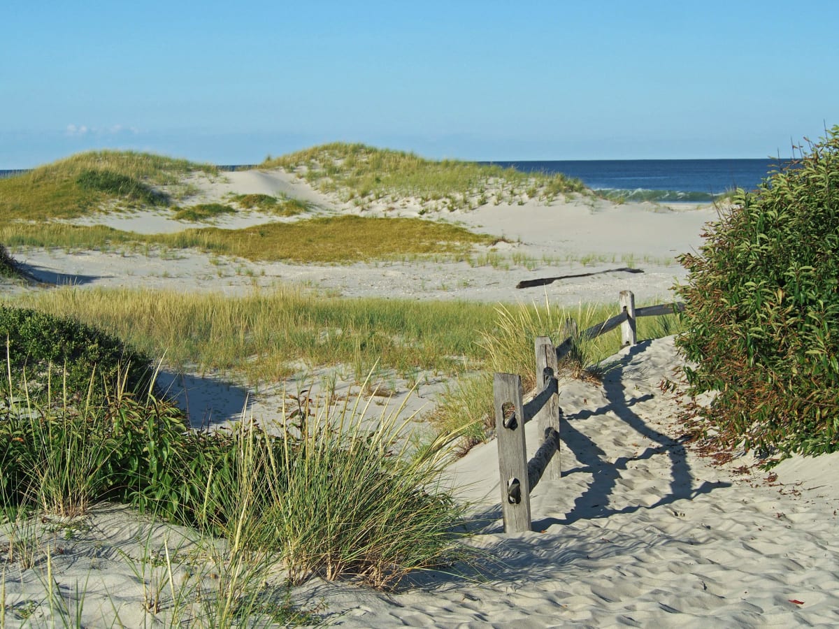 Summer Dunes - IBSP by Mary O'Malley-Joyce, Image 1.