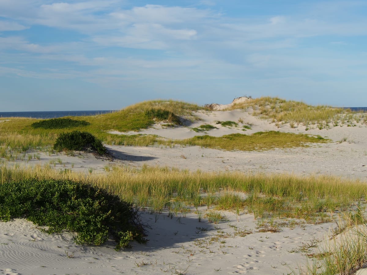 IBSP Dunes by Mary O'Malley-Joyce 