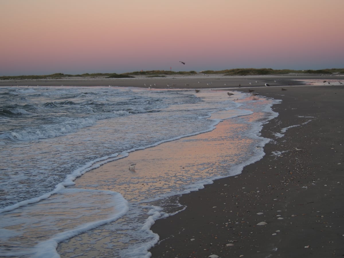 Sandy Hook in Shades of Pink Photo by Mary O'Malley-Joyce 