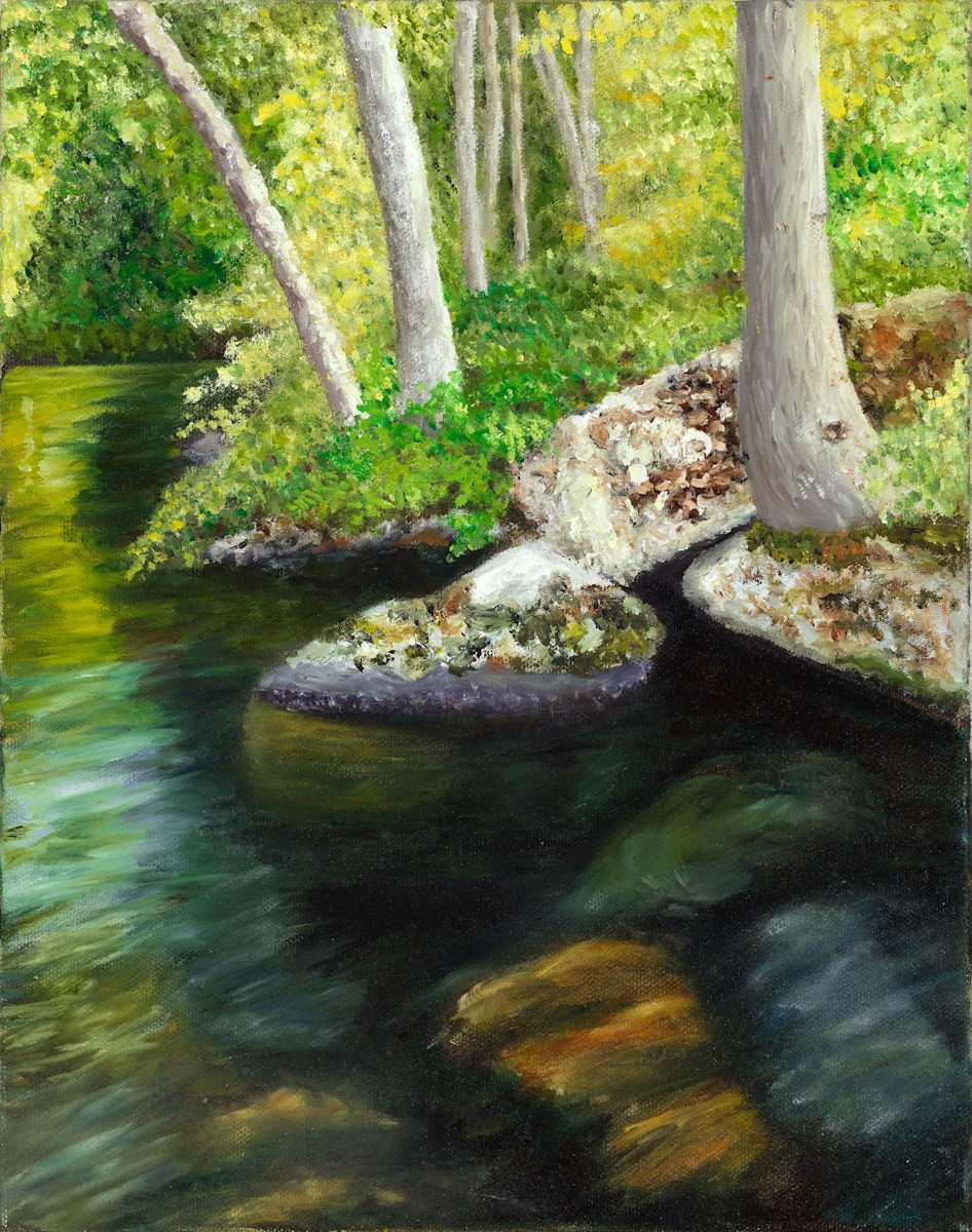 Boat House Rock Reflections by Mary O'Malley-Joyce, Image 1.