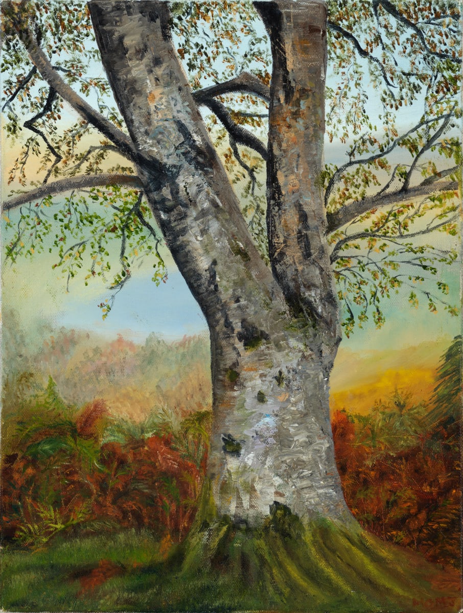 Fairy Tree by Mary O'Malley-Joyce 
