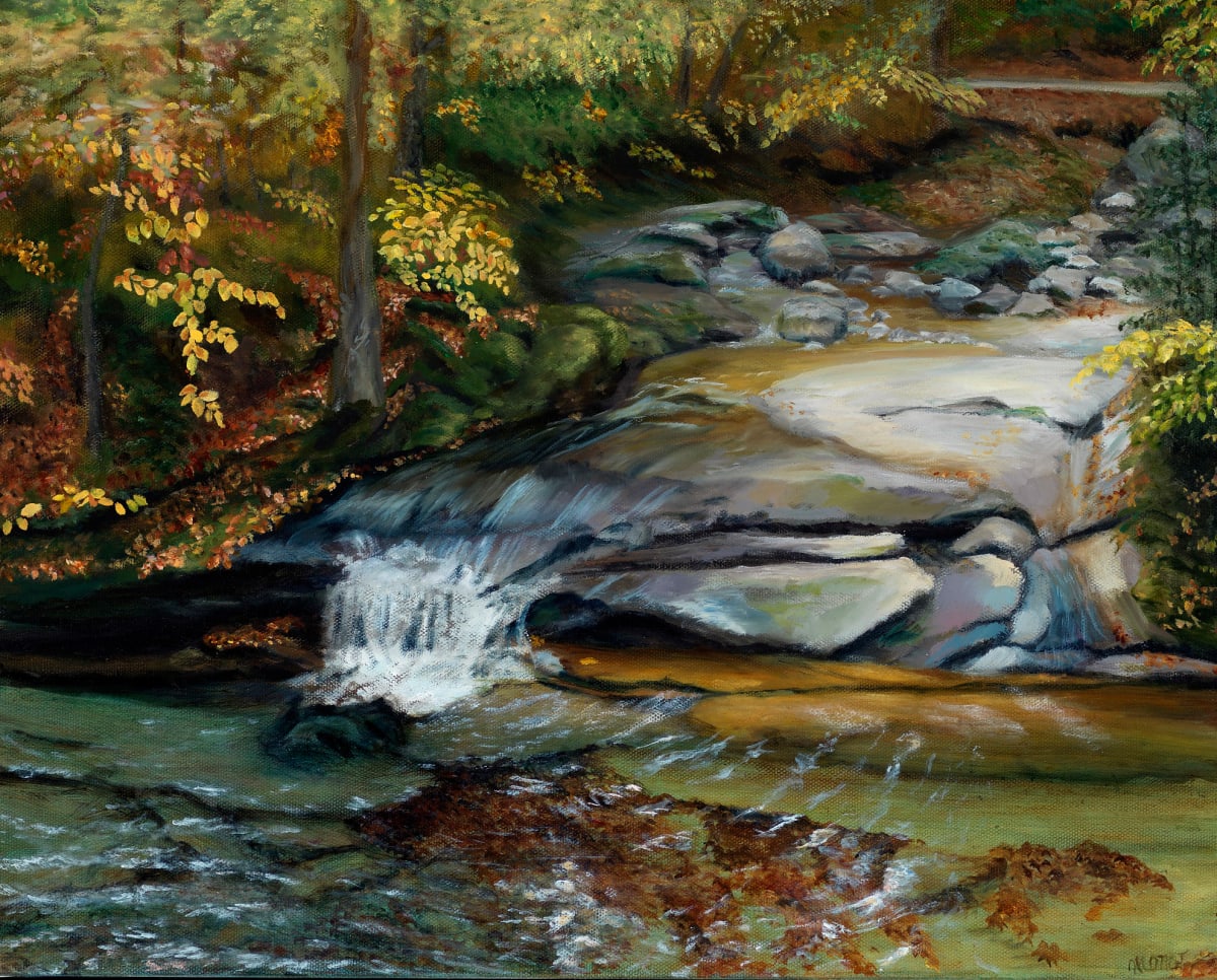 Basin Trail Waterfall by Mary O'Malley-Joyce 
