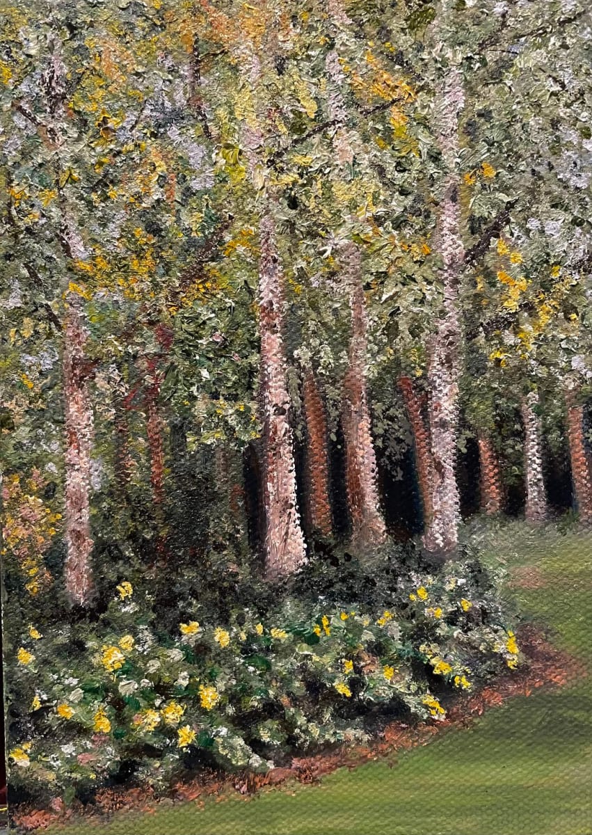 Tree Series #3 - Birchgrove by Mary O'Malley-Joyce, Image 1.