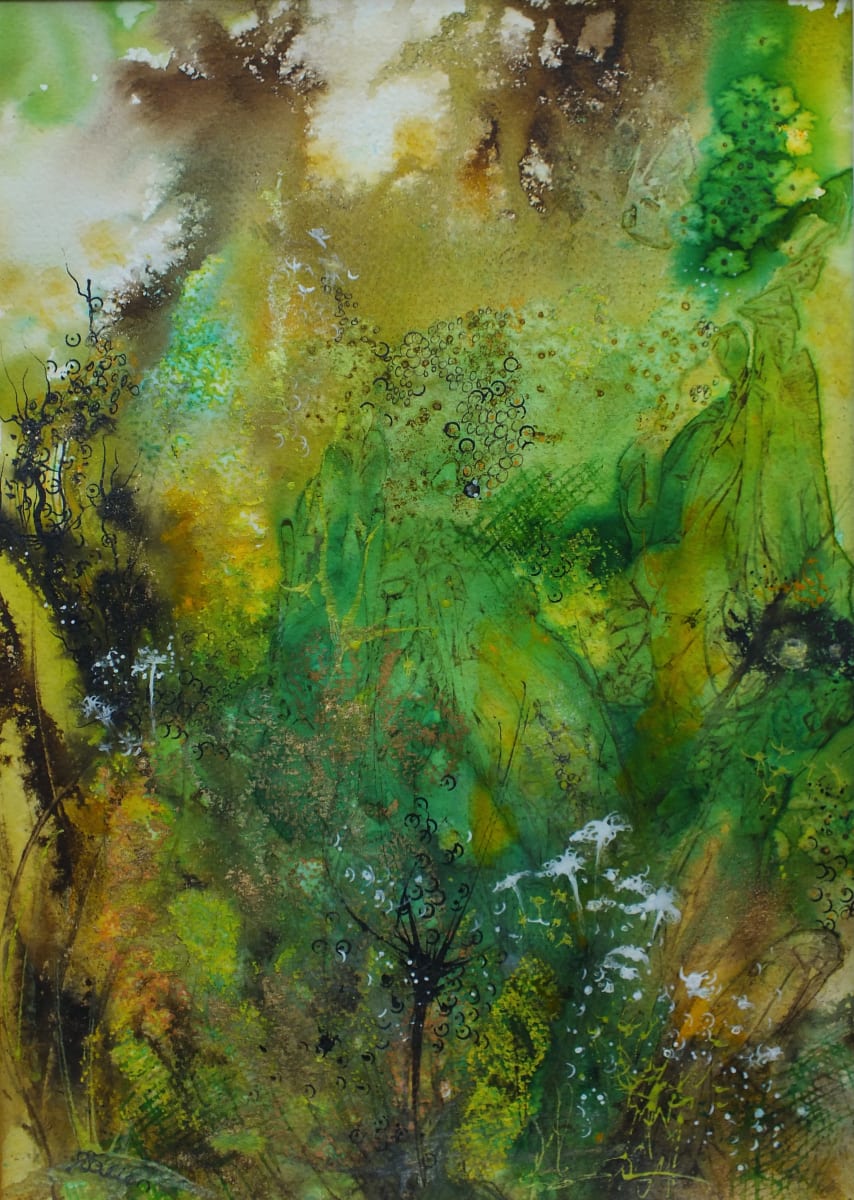 Imagine the Forest  Image: Imagine the Forest