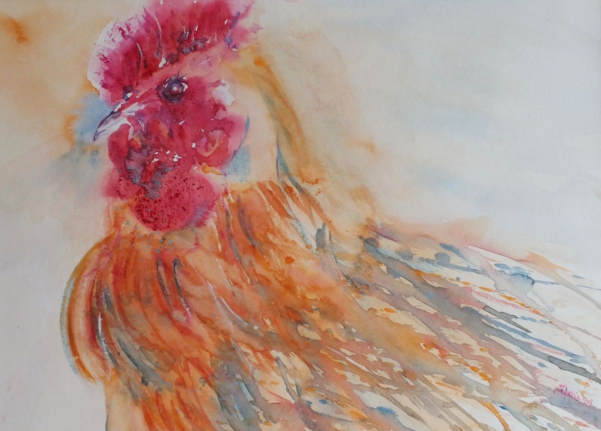 Chicken Runs  Image: Chicken Runs