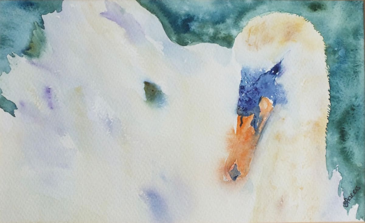 Swanning Around  Image: Swanning  Around