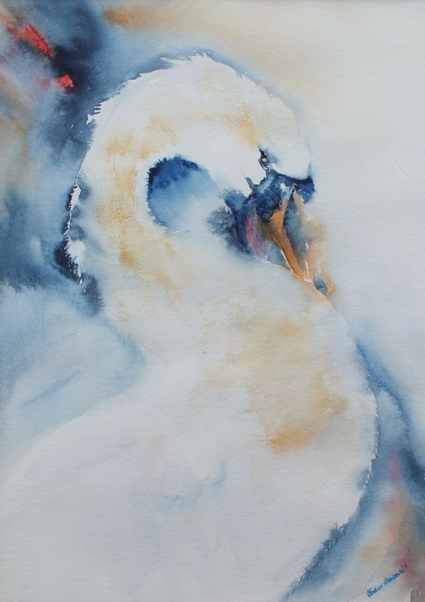 Hissing Sid  Image: Hissing Sid