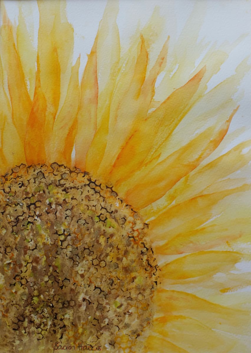 Éclat de Tournesol by Sarion Gravelle-Harris  Image: Éclat de Tournesol