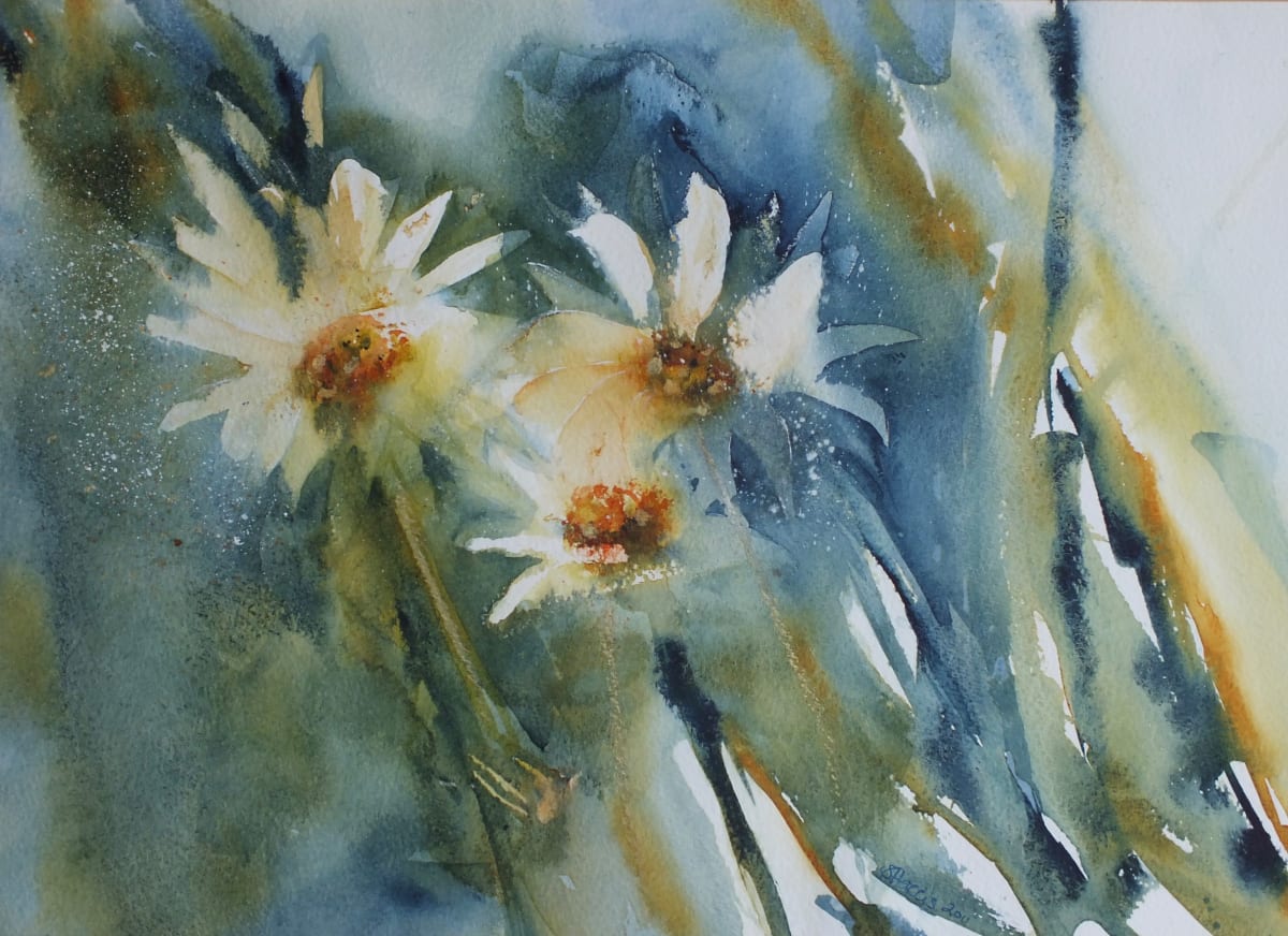 Daisy Magic by Sarion Gravelle-Harris  Image: Daisy Magic