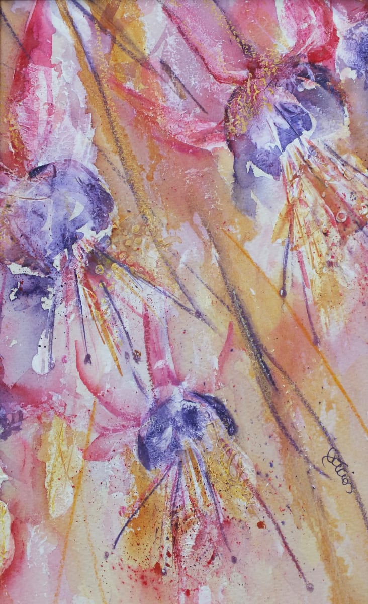 Fuchsia Medley  Image: Fuchsia Medley