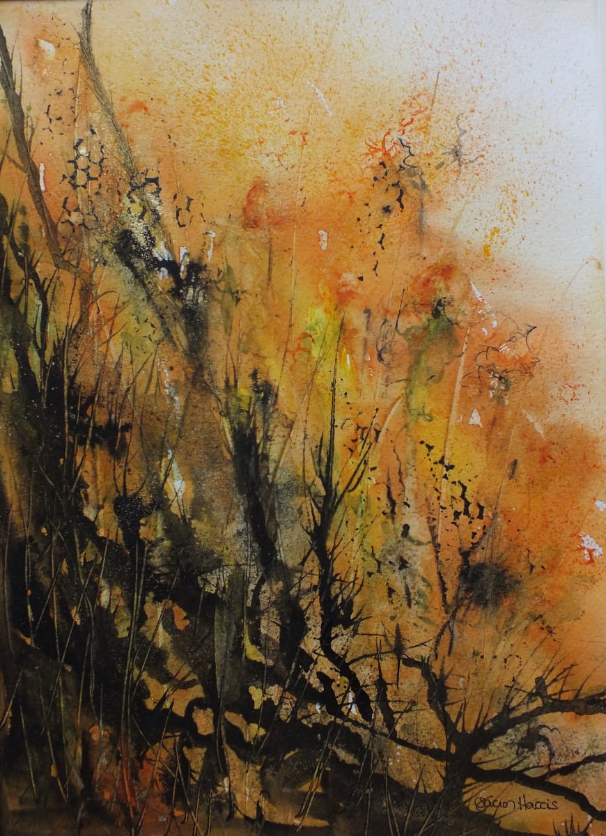 Sous-Bois Doré  Image: Sous-Bois Doré