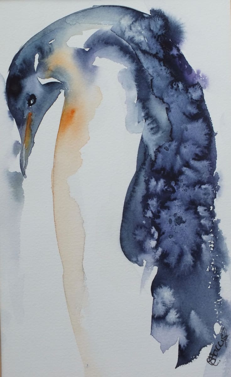 I can still see my feet!  Image: I can still see my feet!