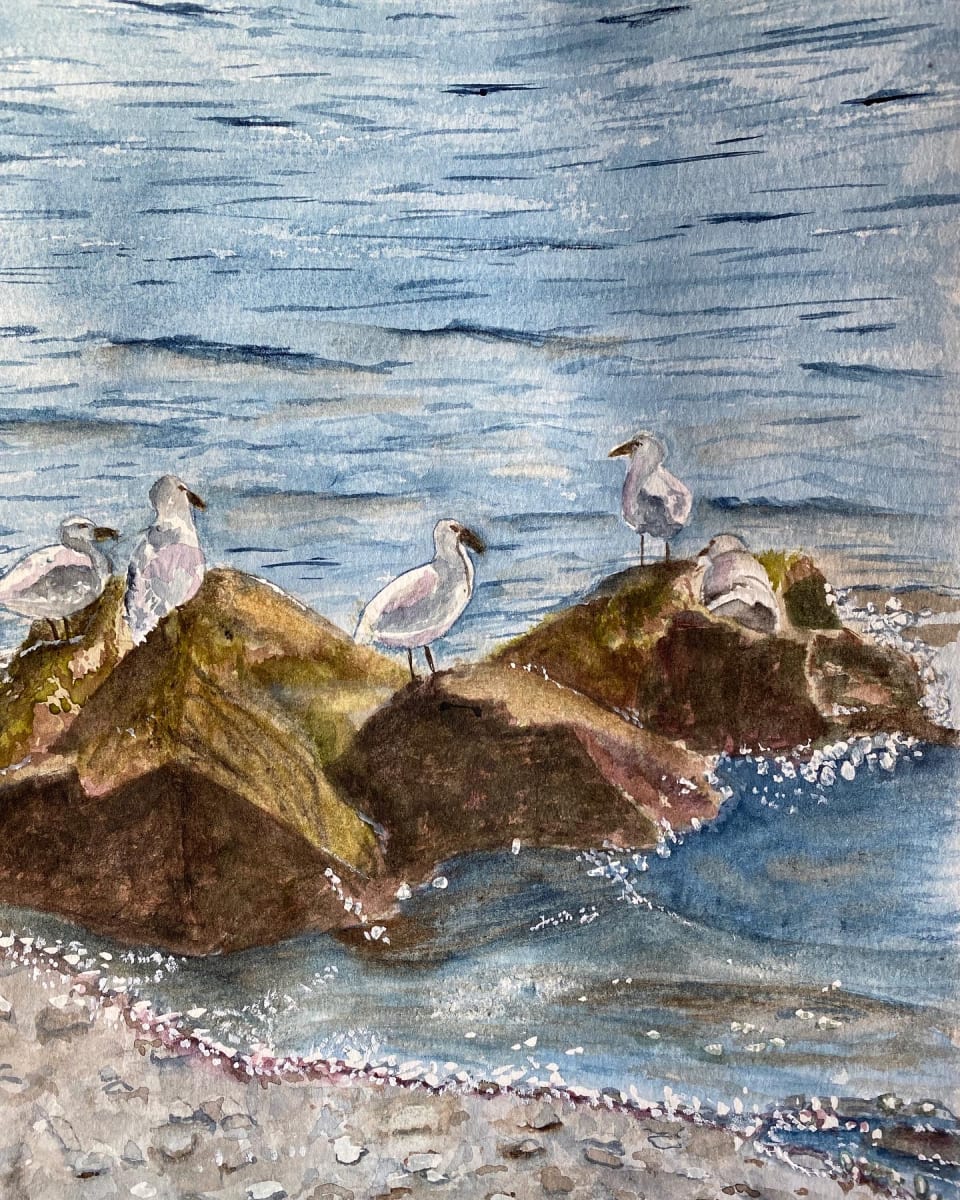 Seagulls at Rest by Rosalynd Coulter Semple 