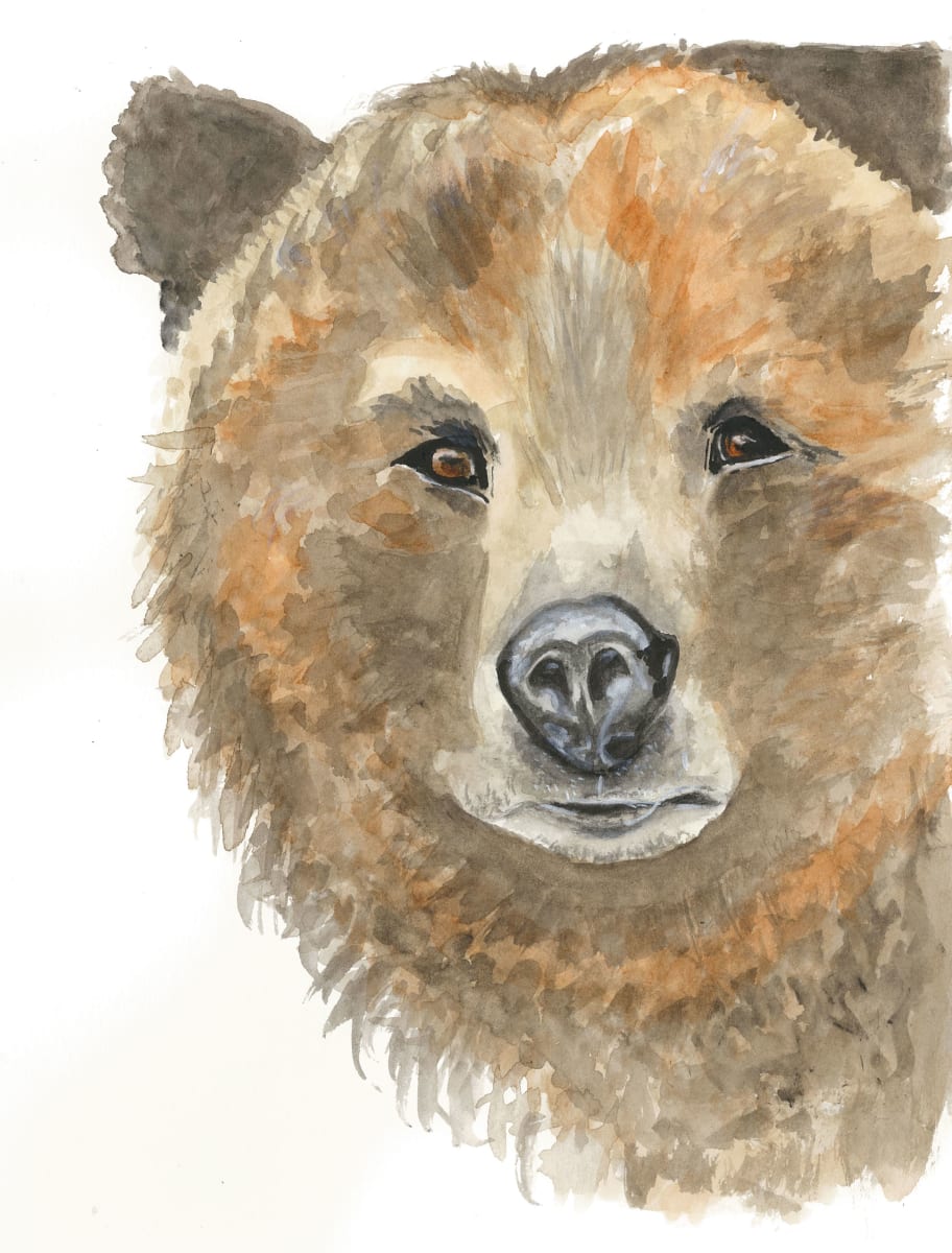 Bear by Rosalynd Coulter Semple 