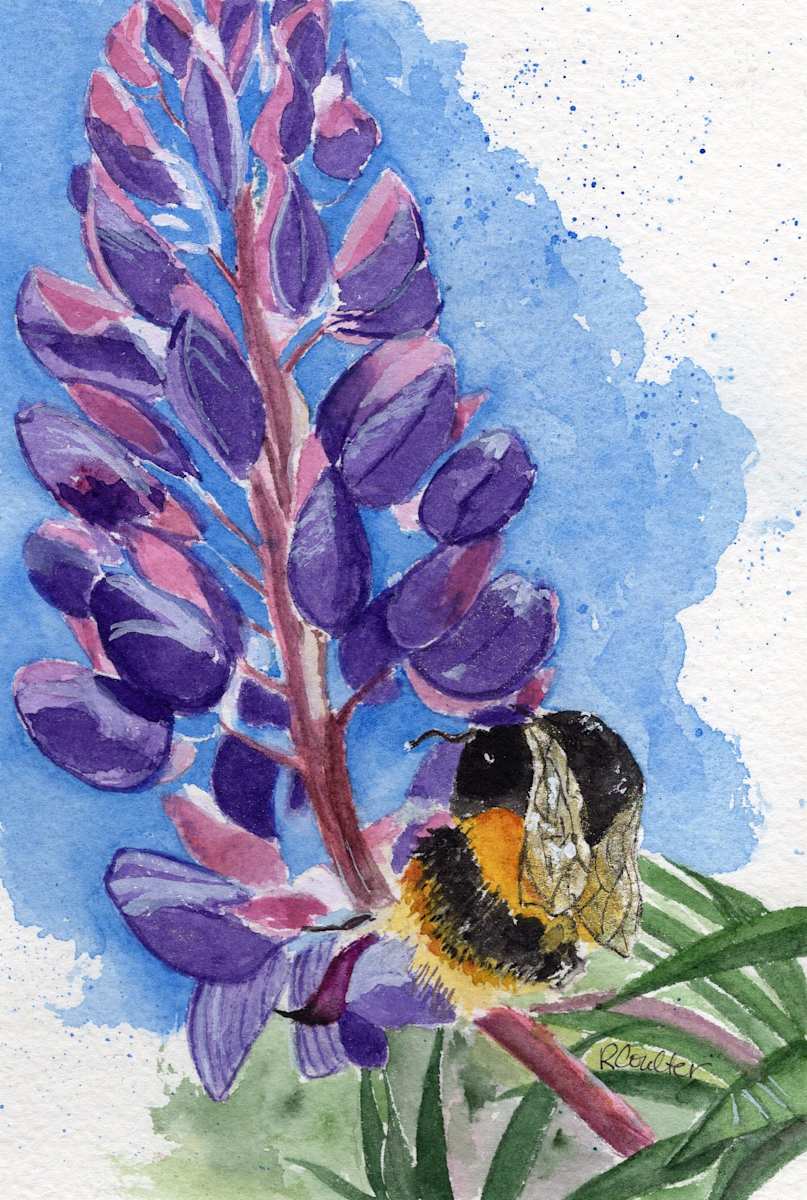 Bee & Lupin by Rosalynd Coulter Semple 
