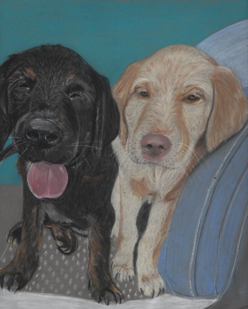 Mutt & Jeff by Rosalynd Coulter Semple 