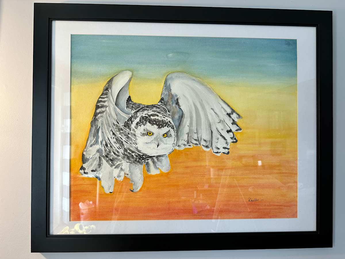Owl in Flight by Rosalynd Coulter Semple 
