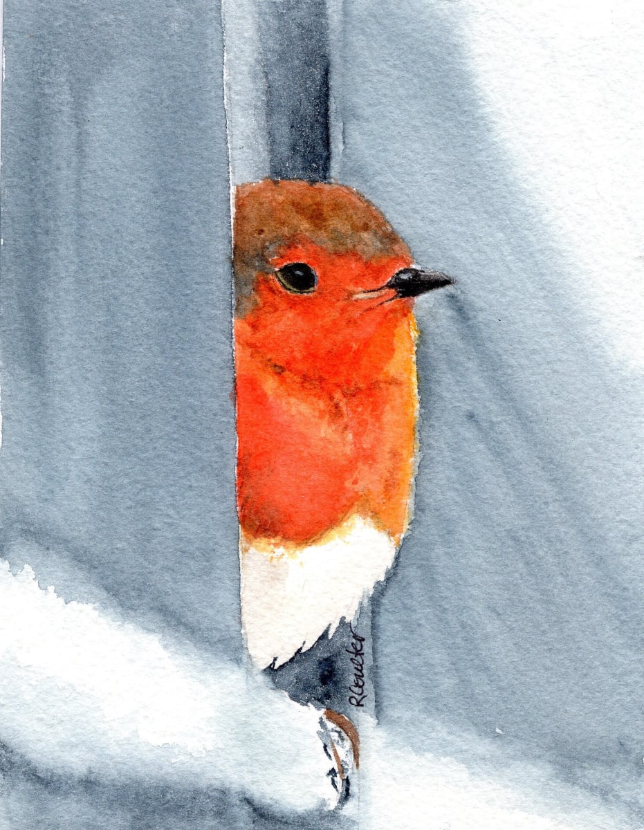 Robin Red Breast by Rosalynd Coulter Semple 