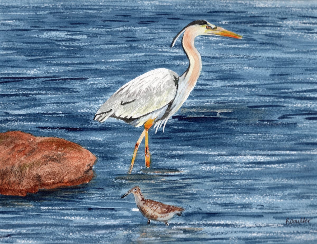 Great Blue Heron by Rosalynd Coulter Semple 