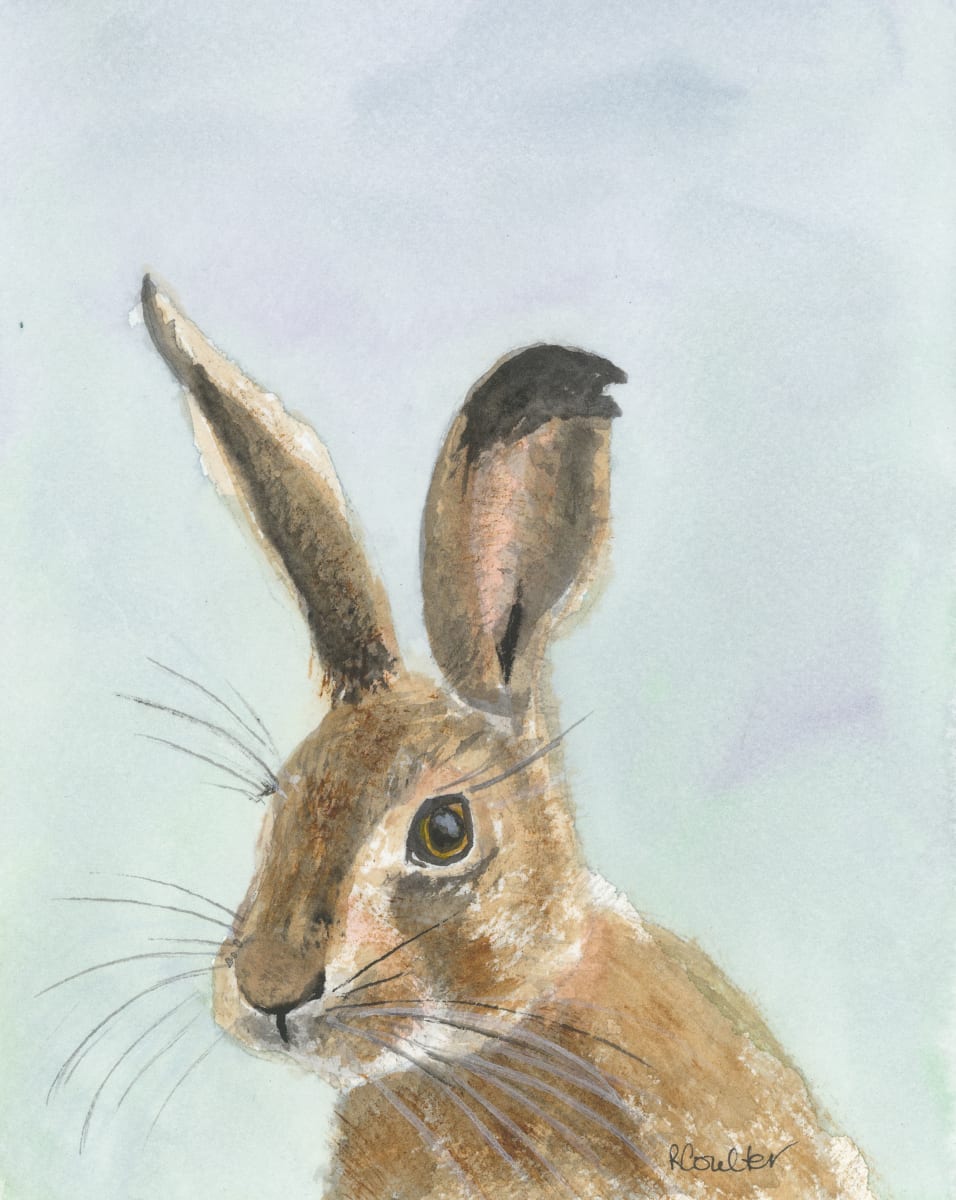Hare by Rosalynd Semple 