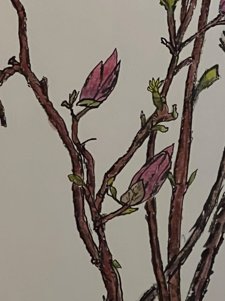 Magnolia CU NEW by Lon Bender 