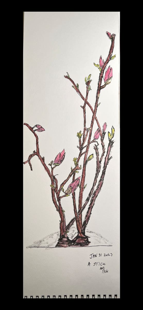 Magnolia Tree Branch by Lon Bender 