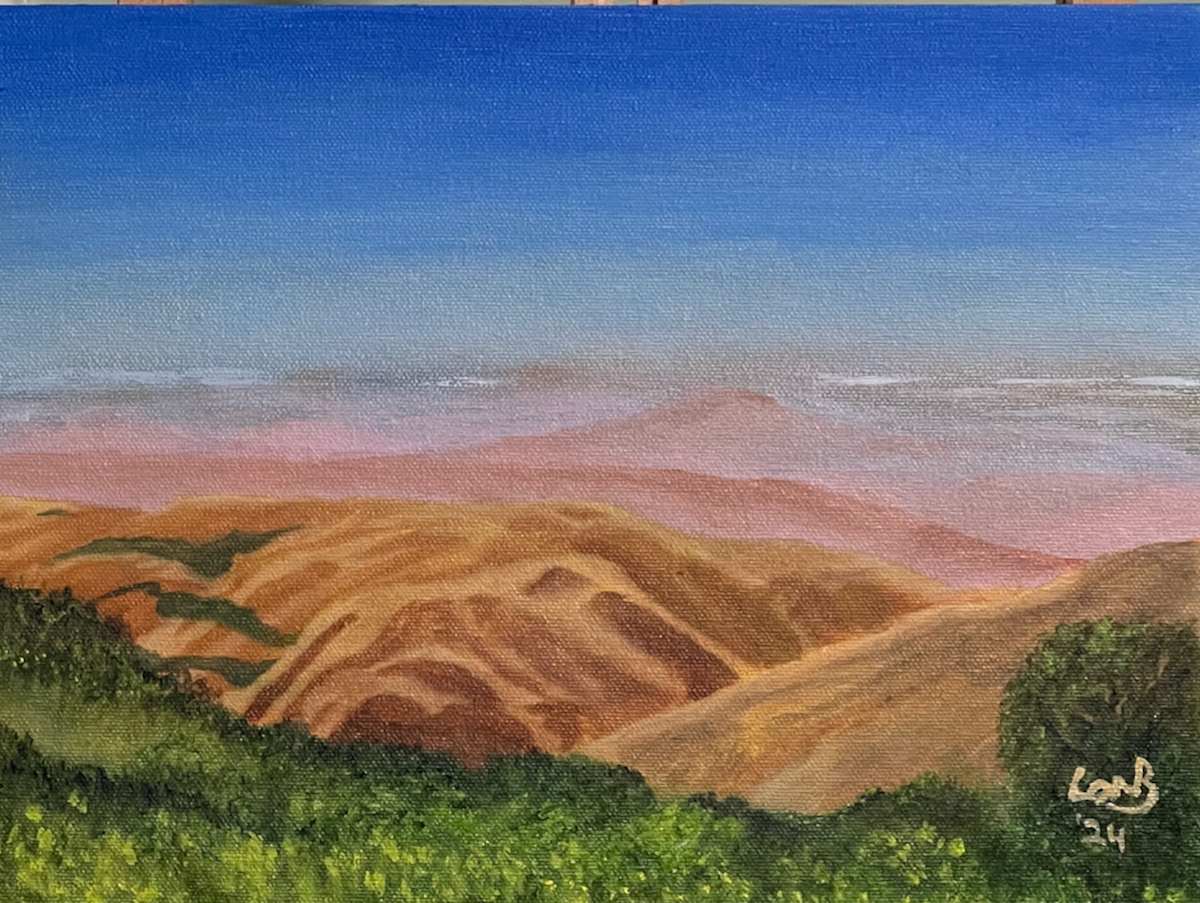 San Joaquin Valley by Lon Bender, Image 4.