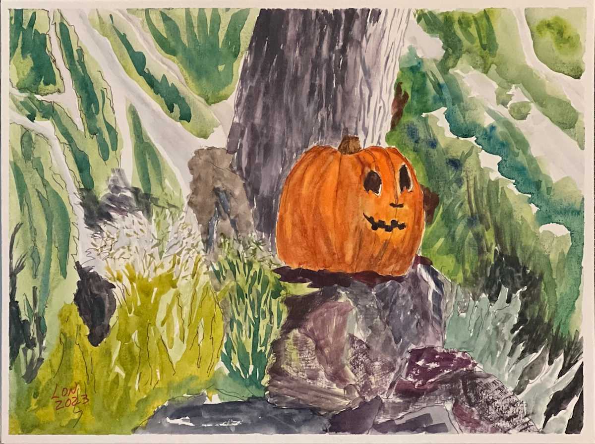 Pumpkin on a rock in the Forest by Lon Bender, Image 11.